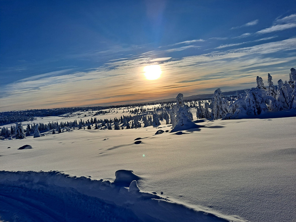 I løypa ved Løvisåsen