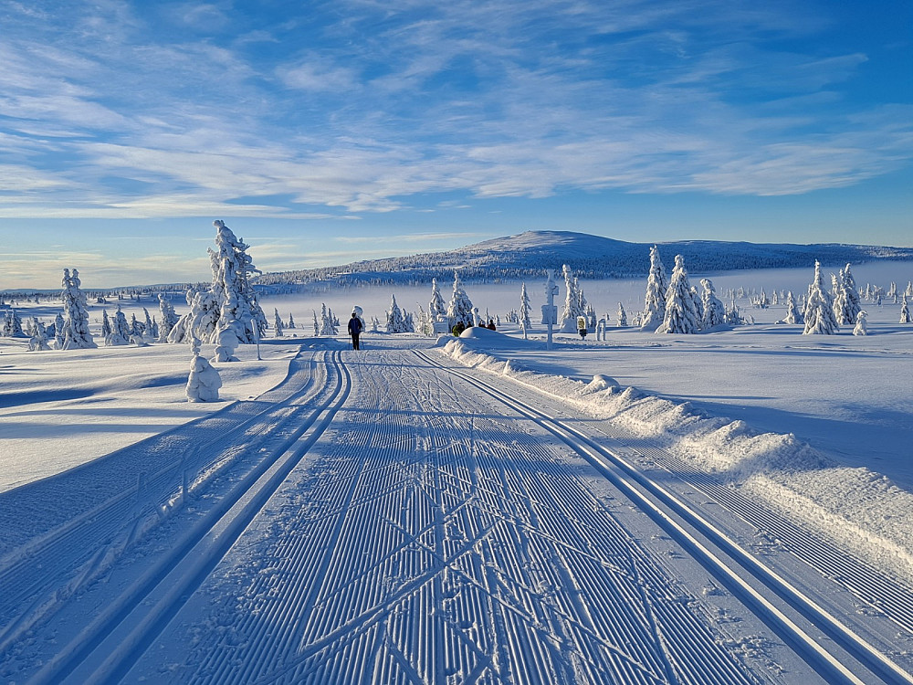 Ser ned på Melsjøseterkrysset og opp på Nevelfjell