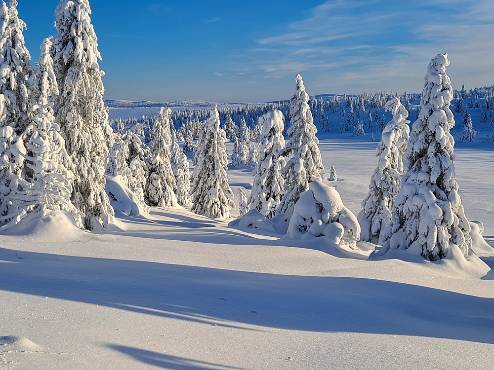 Der jeg snudde på Melsjøsetervegen, ser mot bla. Snørvillen i skygge