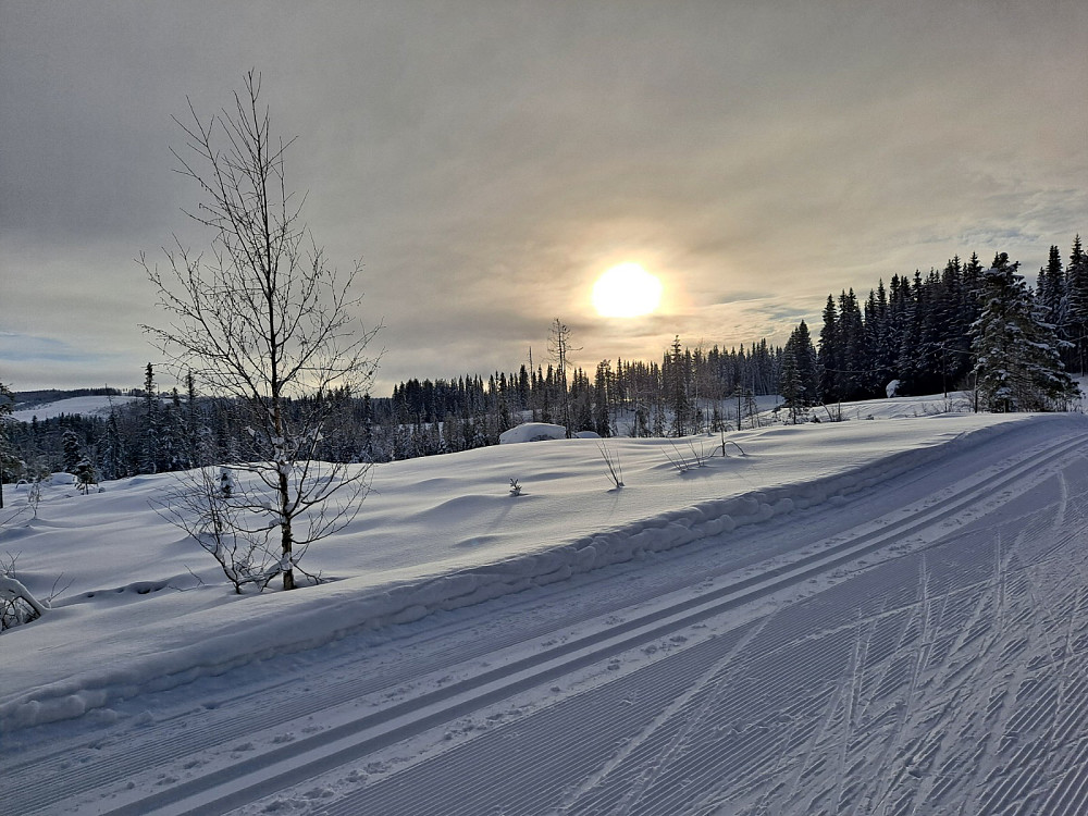 Ved løypekrysset ved VIPvegen