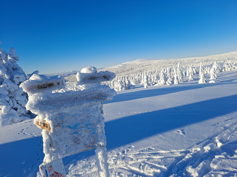Nevelfjell fra løypekrysset Nordseterfjellet