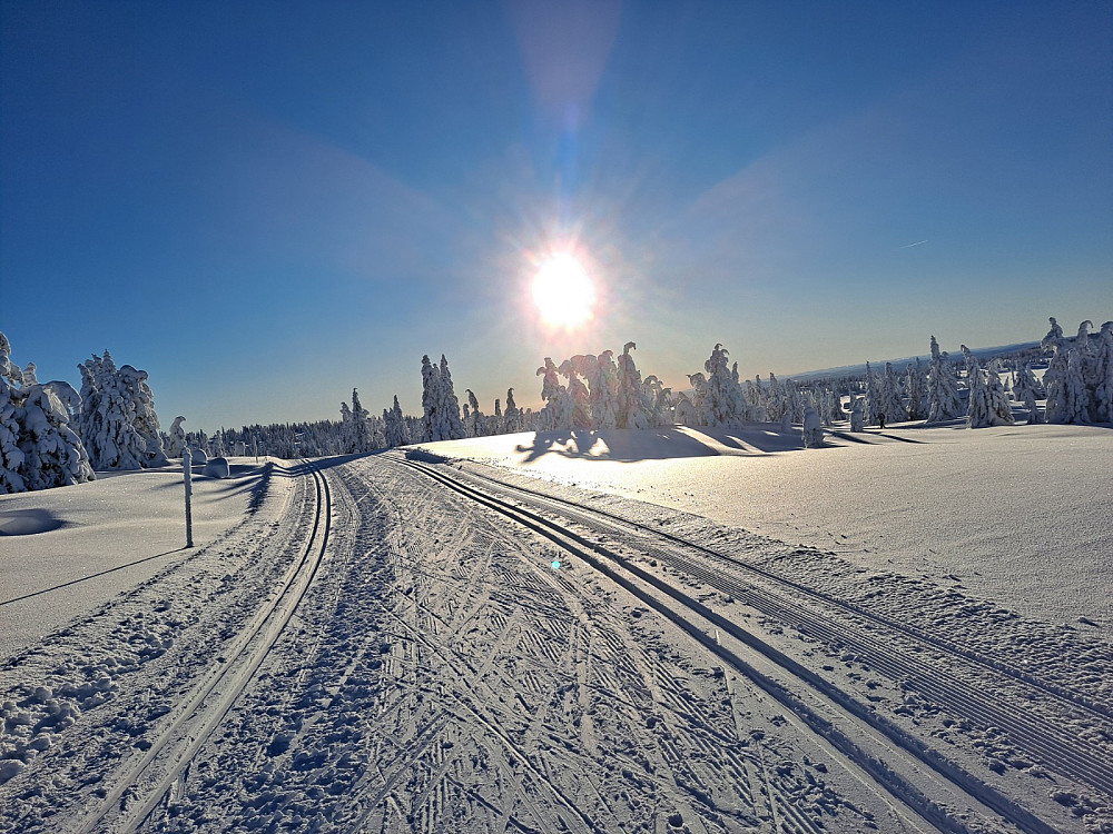 På Nevelåsen