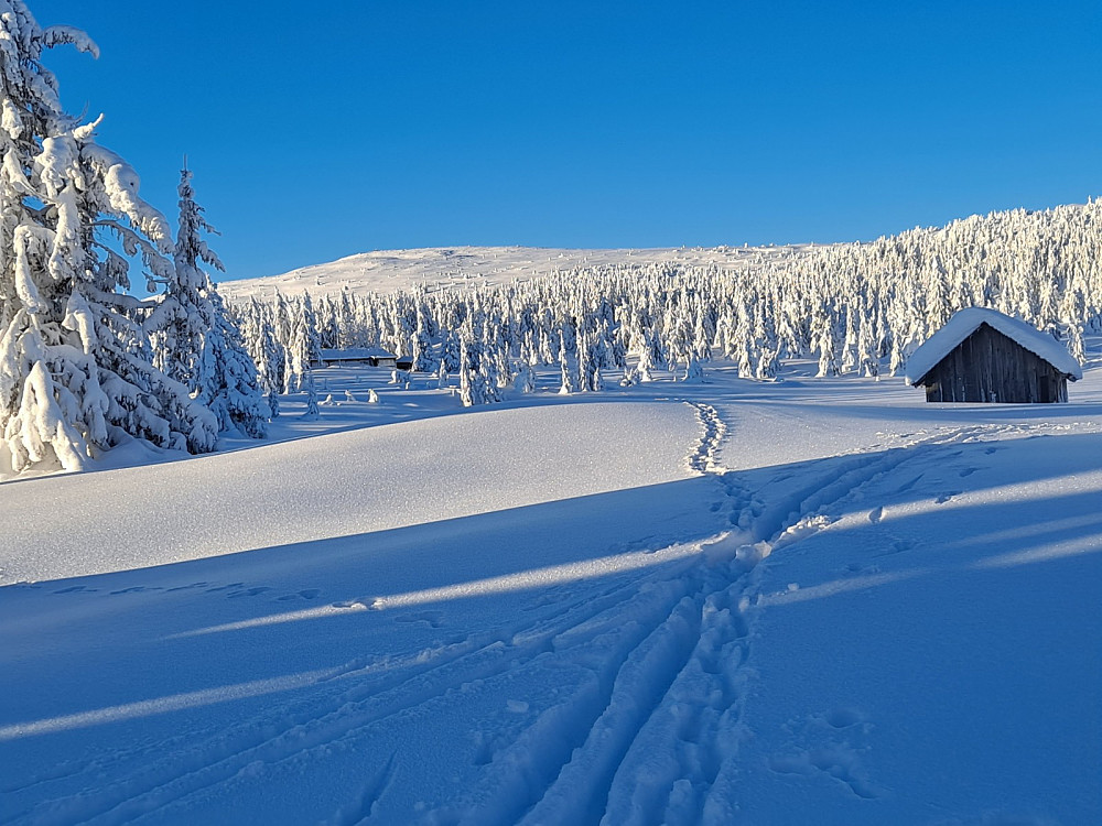 Nevelfjell fra Nevelosen