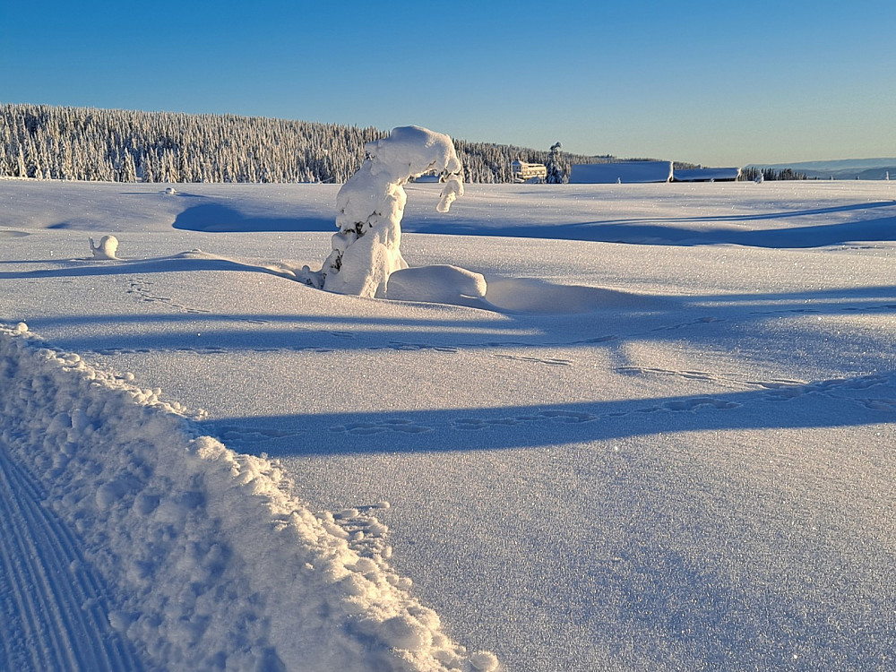 Mot Nordseter