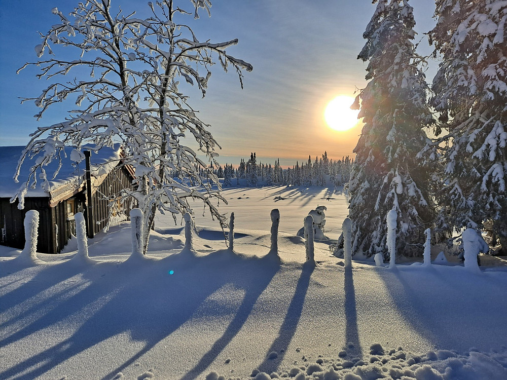 Ved Trondsmyra