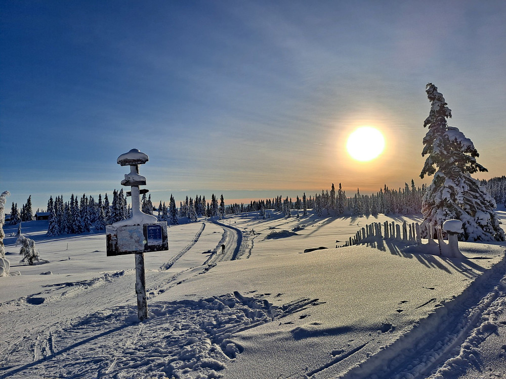 Løypekrysset Trondsmyralarge
