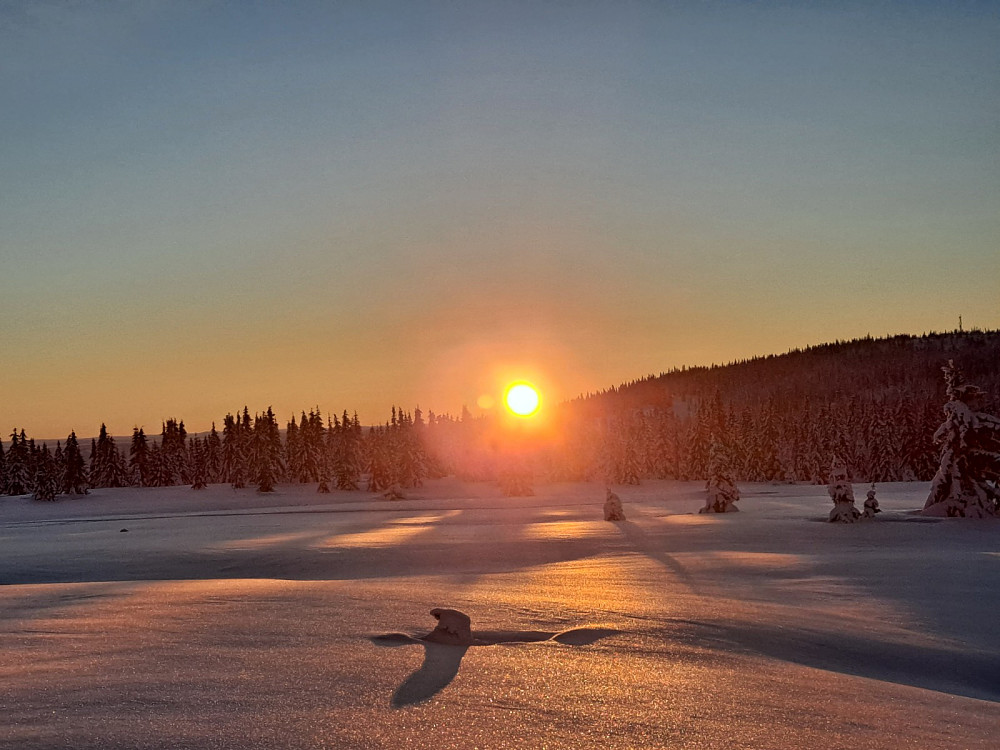 Snart tilbake på Nordseter