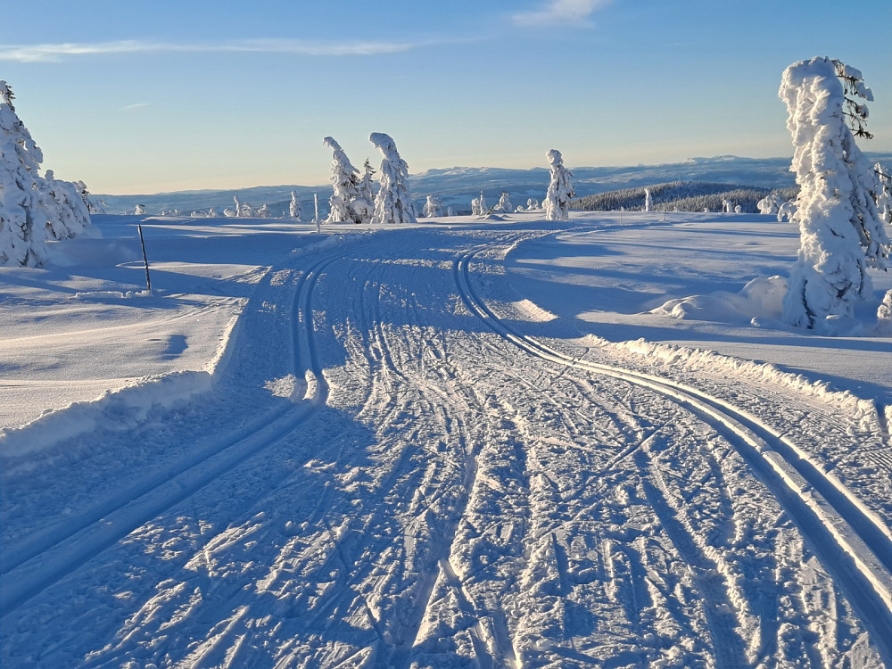 Ser mot Synnfjellet og Rødsjøkollan på vei ned fra Lunkefjell