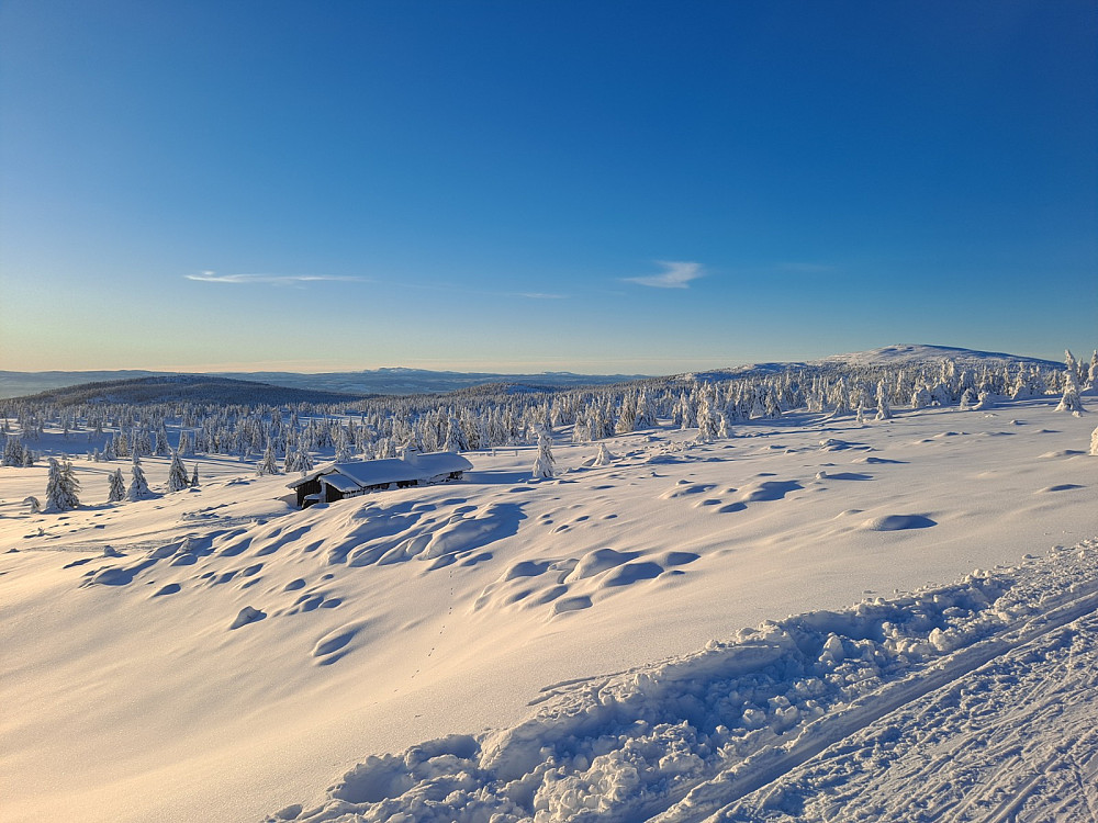 I skiløypa ved Løvisåsen