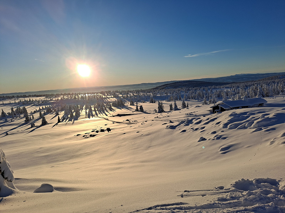 I skiløypa ved Løvisåsen