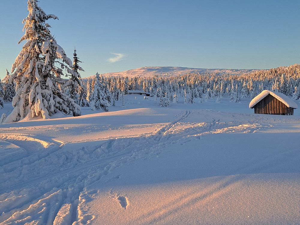 Nevelfjell fra Nevelosen