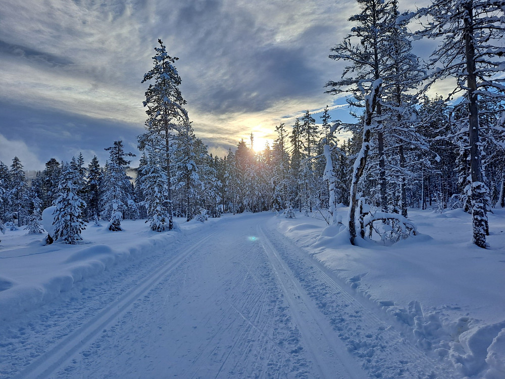 Ingalåmi litt oppfor Mesnasaga