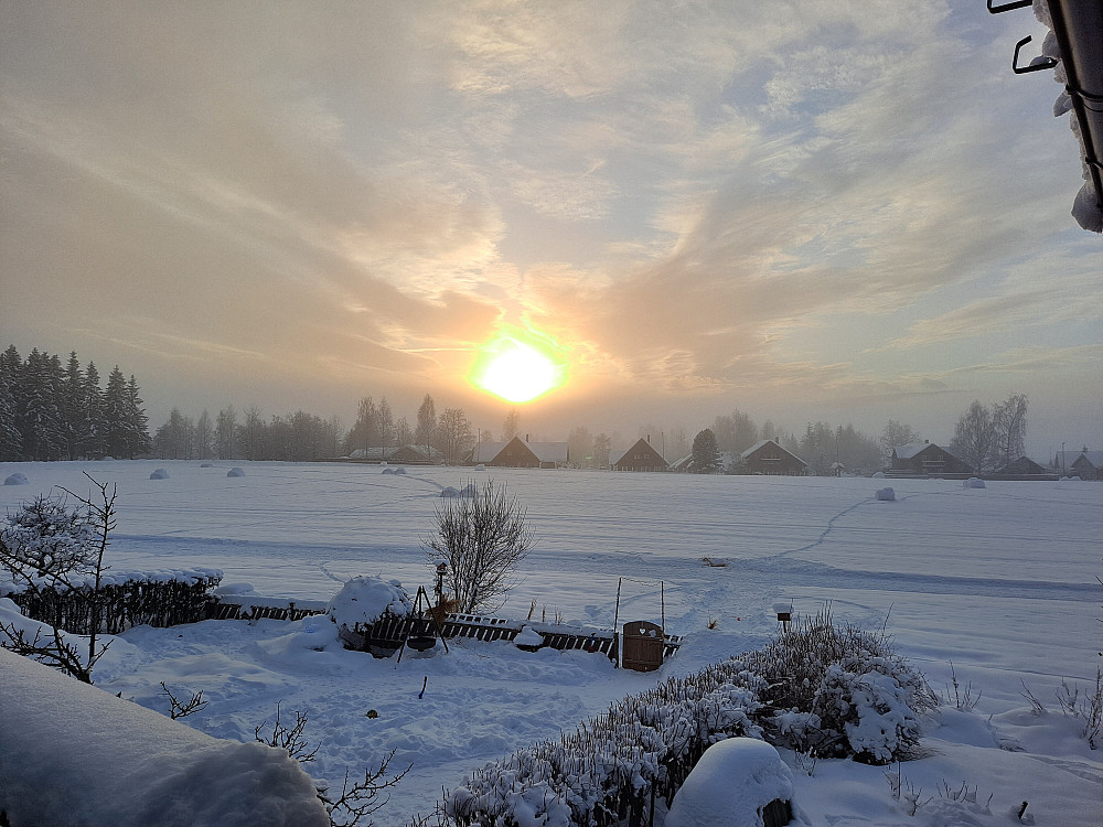 Hjemme igjen