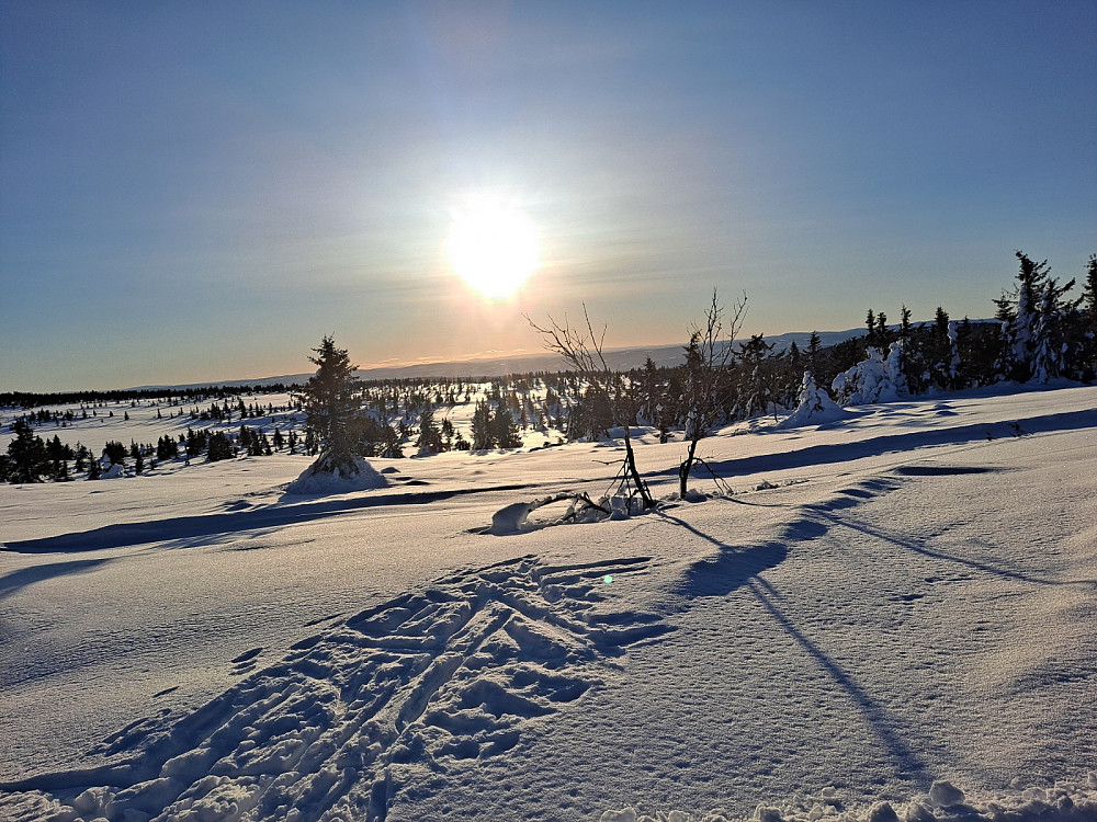 I løypa ved Løvisåsen