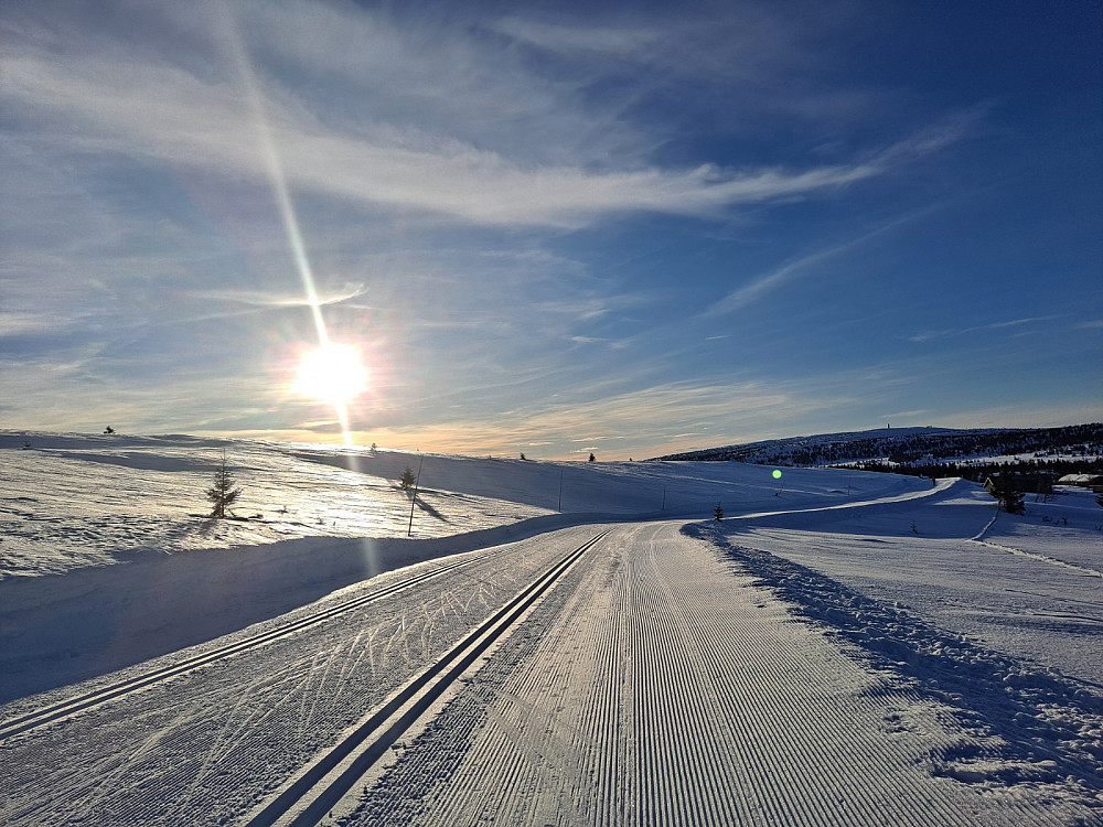Ved Hitsetrene mot Hafjell