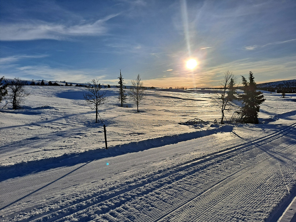 Opp mot Hitsetrene