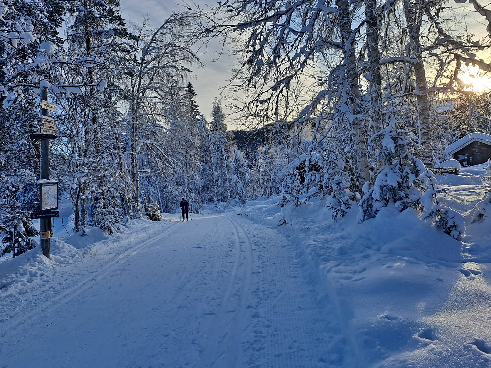 Ved løypekrysset Mesnasaga