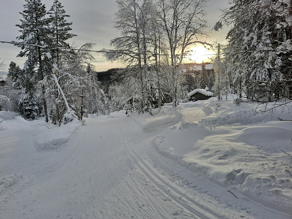 Ved Mesnasaga