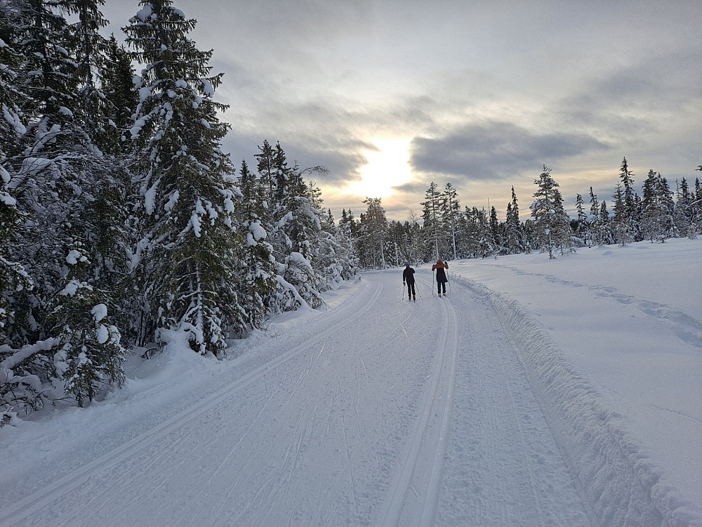 i Ingalåmi/Birkebeinerløypa litt nedenfor Sagmyra