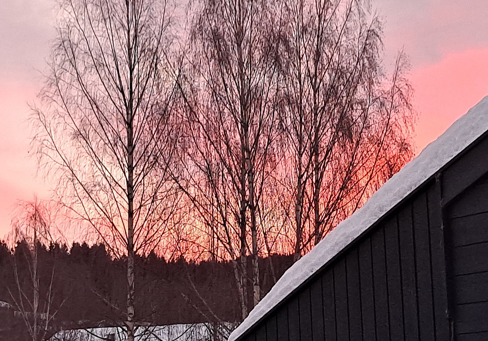 Fint morgenlys i Blestervegen