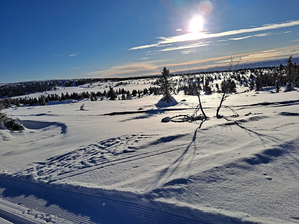 I løypa ved Løvisåsen