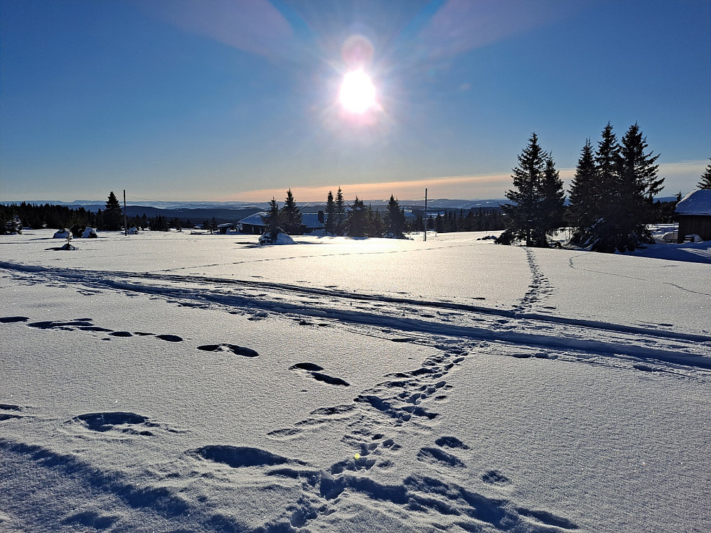 Tilbake på Nordseter