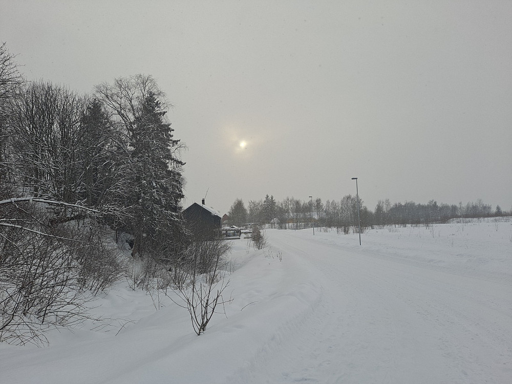 Glimt av sola i Aurfaret