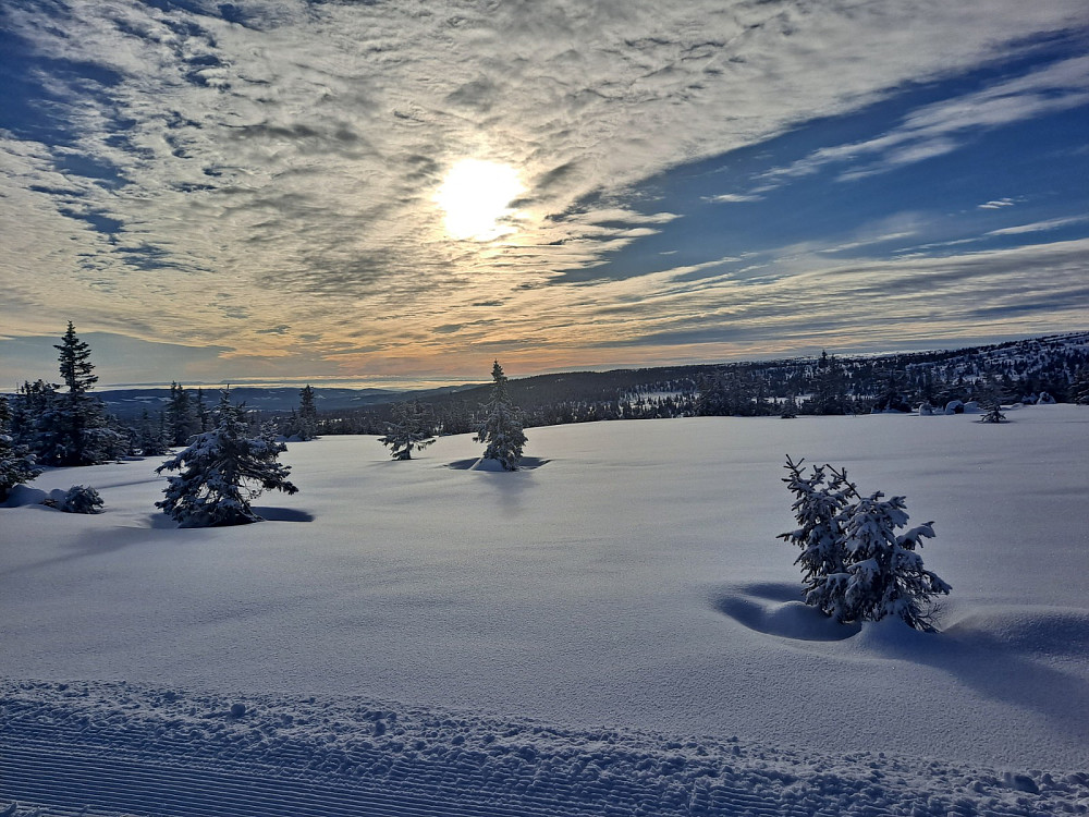 Oppover mot Snørvillen