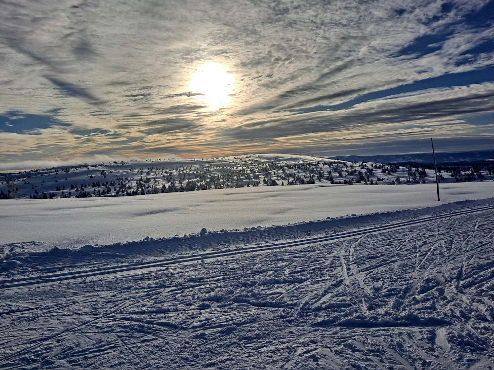 Ved løypekrysset Snørvillen mot Mostefjell