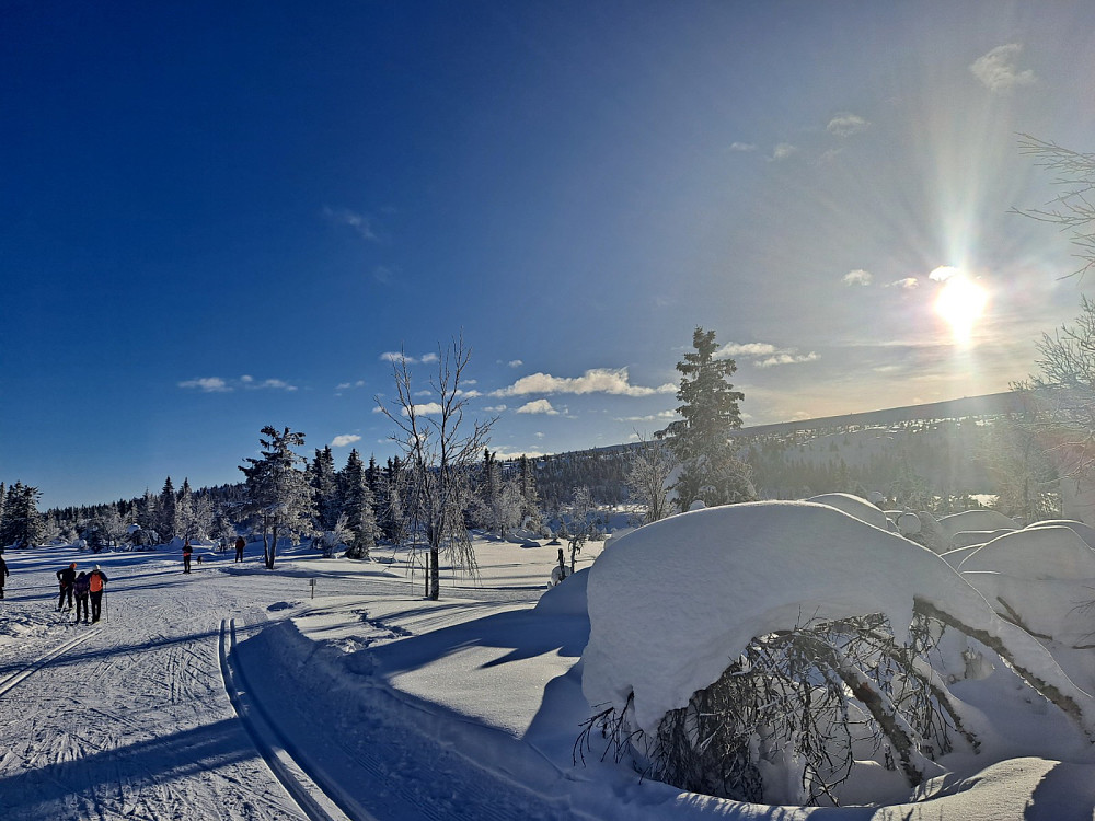 Ved Midtfjellkoia