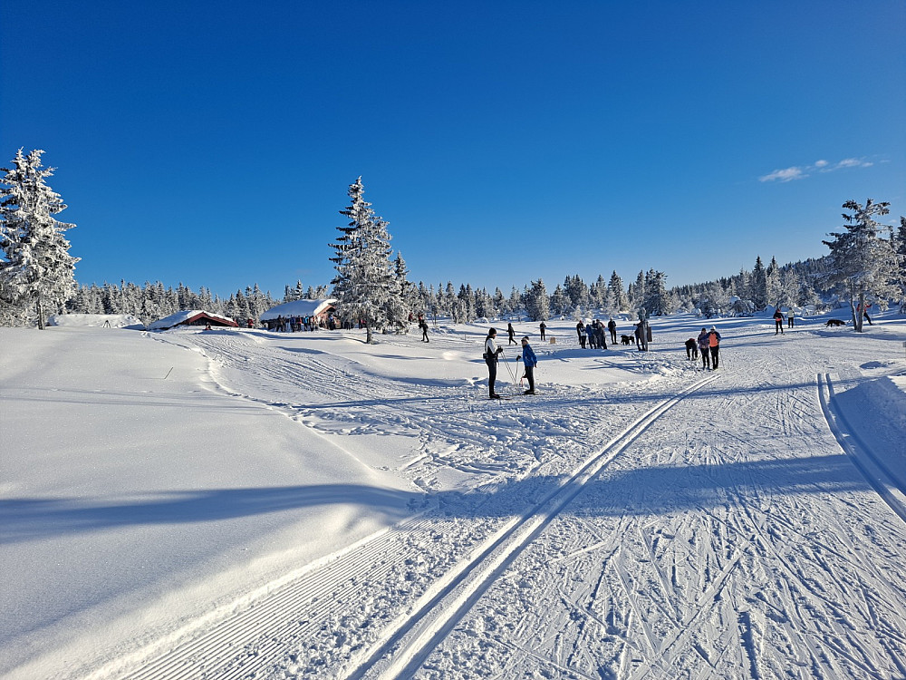 Mye folk ved Midtfjellkoia som vanlig