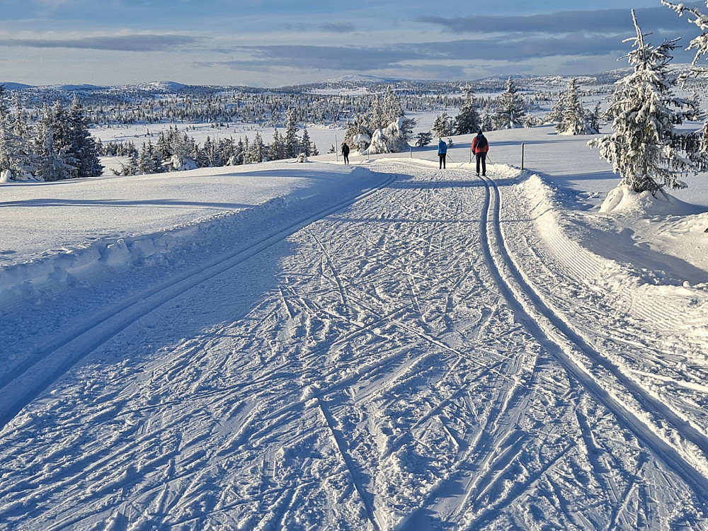 I løypa ved Gjestebodåsen