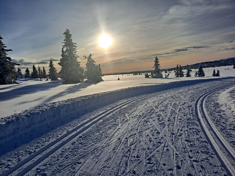 Kommet ned fra Gjestebodåsen