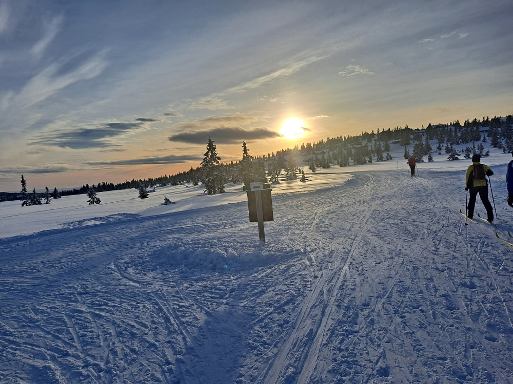Ved løypekrysset på Storåsmyra