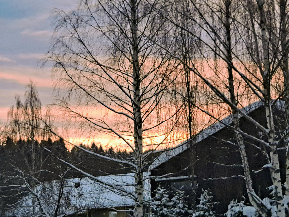 Morgenlys