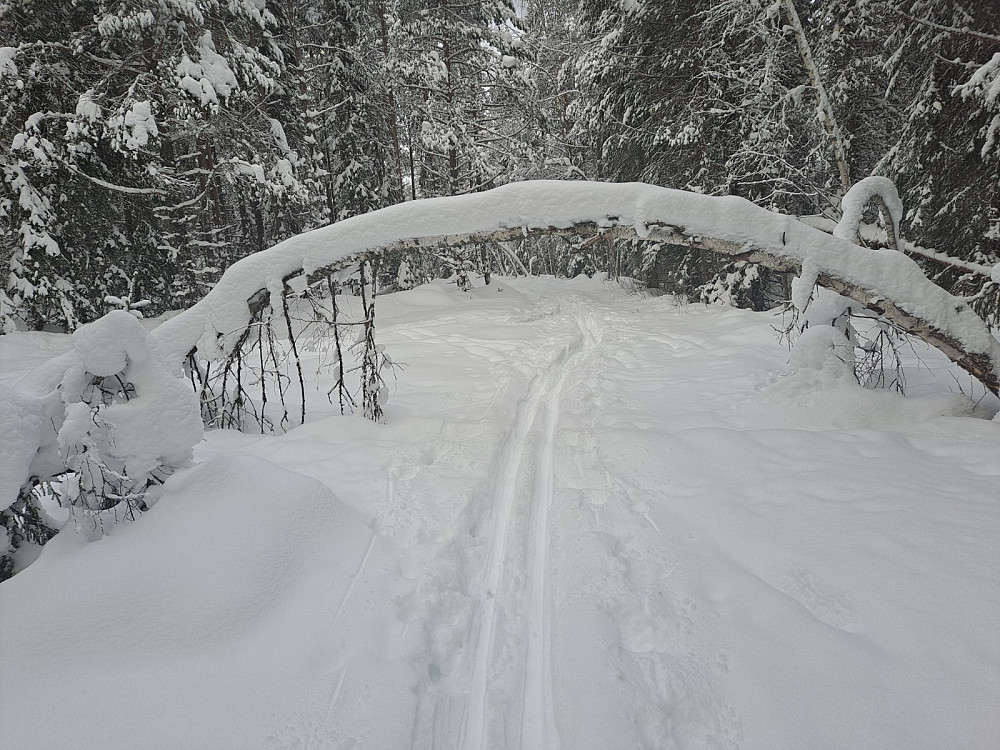 På veg til Birkebeinerløypa