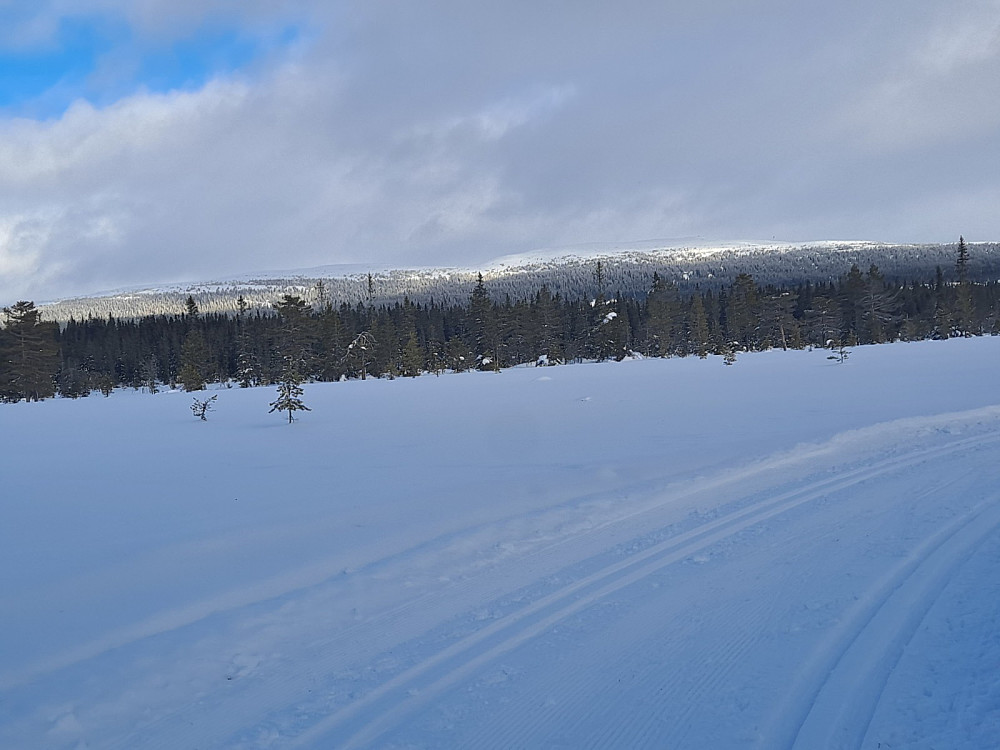 Kommet opp på Myrene, ser Slåsæterfjellet og Nevelfjell