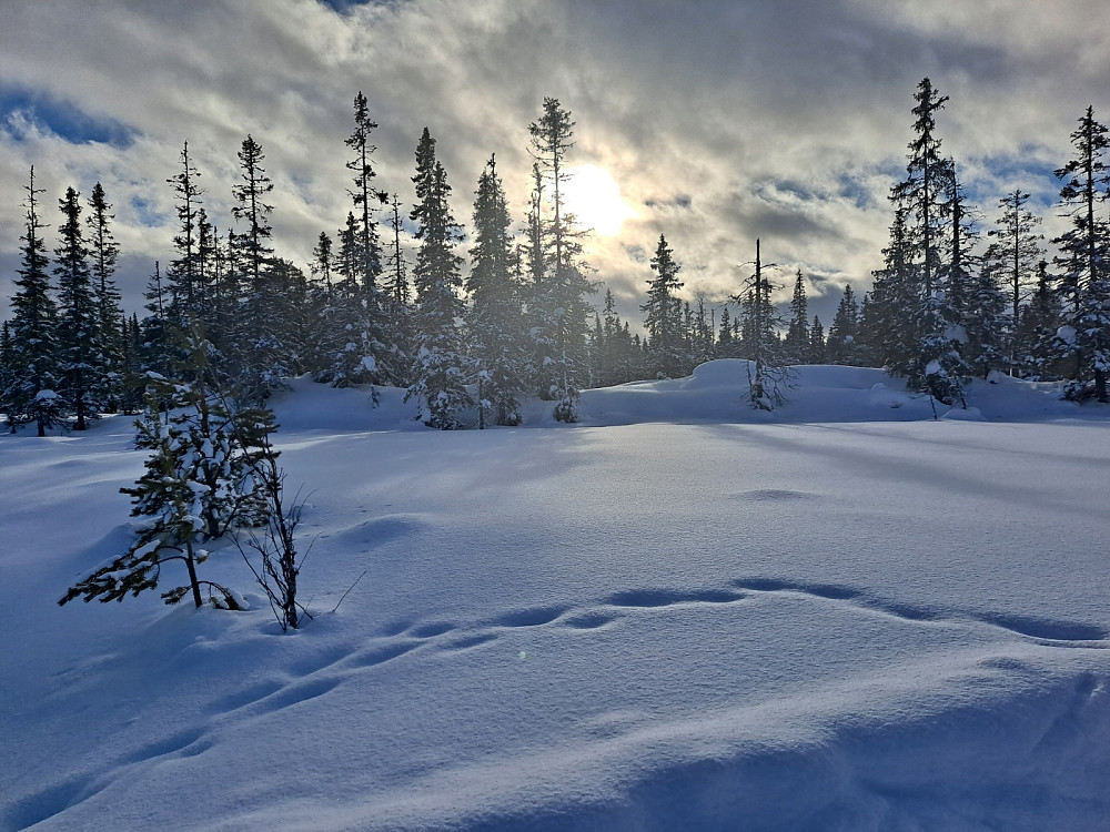 I løypa