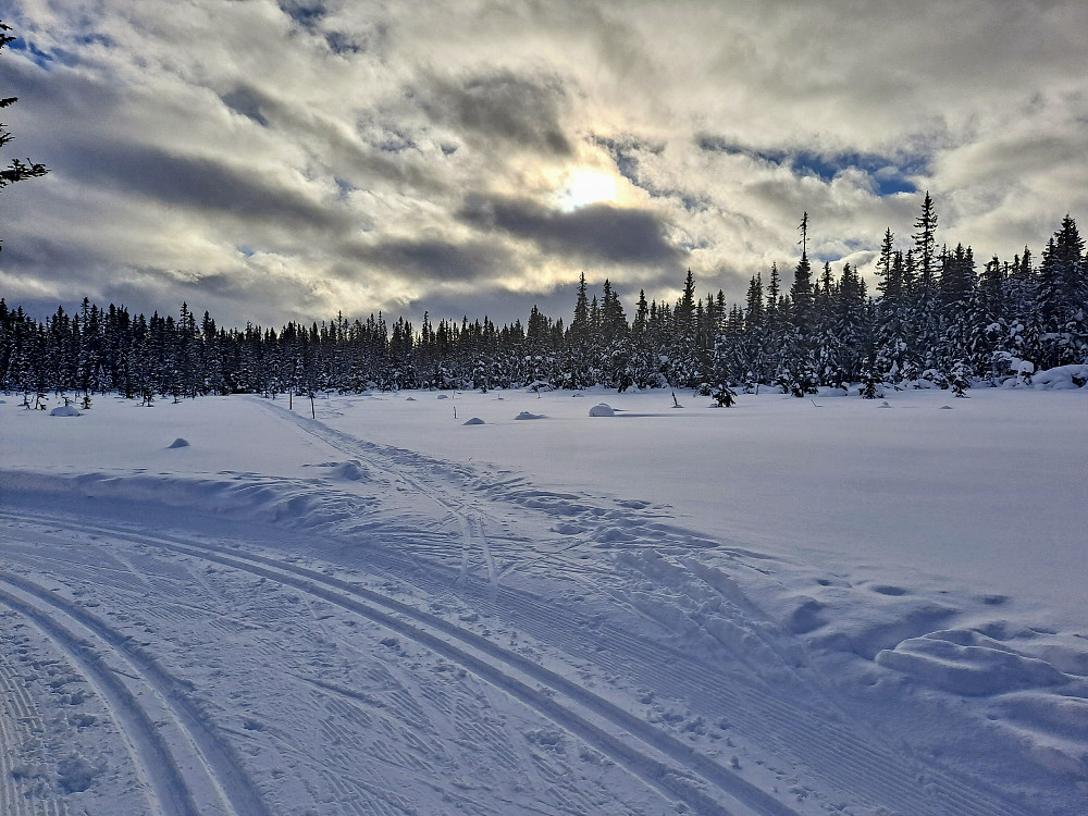 1-sporsløypa og Gropmarksrunden møtes ved 
Langkloppmyrkrysset