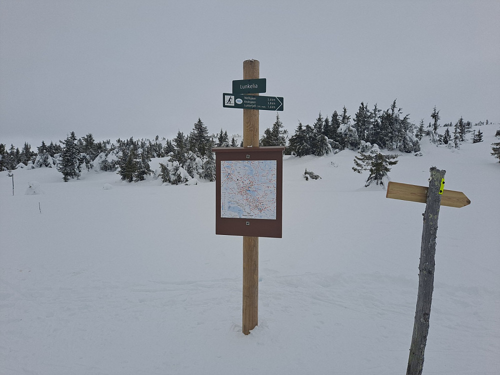 Ved det nye løypekrysset, Lunkelia