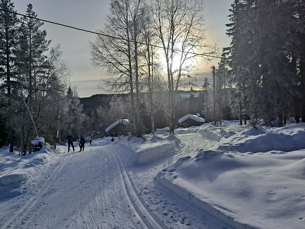 Ved Mesnasaga