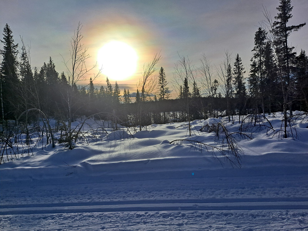 Fra Inga Låmi/Birkebeinerløypa mot Abbortjern