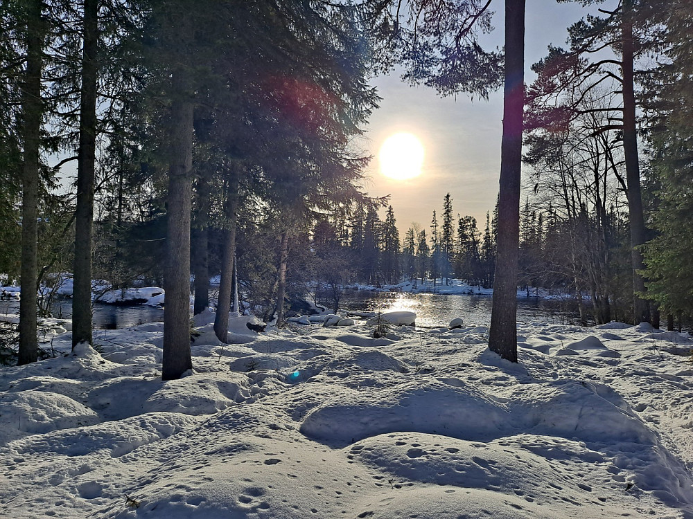 Mesnaelva ved Øvre Køyta