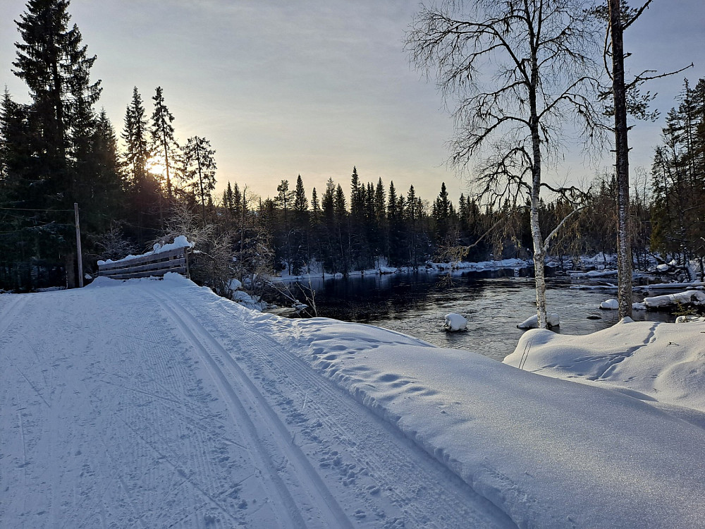 ved Mesnasaga