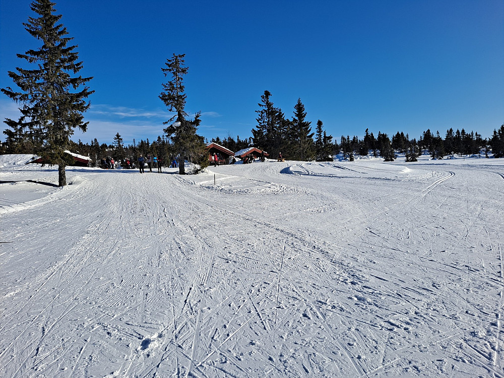 Ved Midtfjellkoia