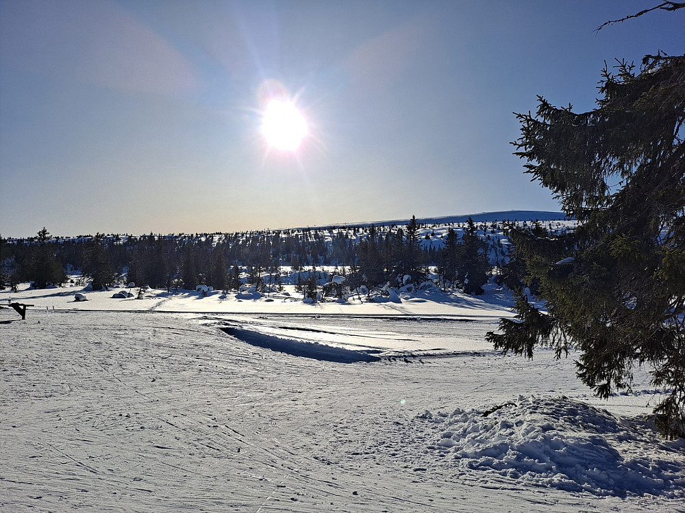 Mot Snørvillen fra Midtfjellkoia