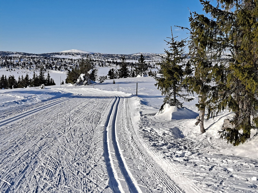 På løypas høyeste punkt, mot Nevelfjell og Hafjell