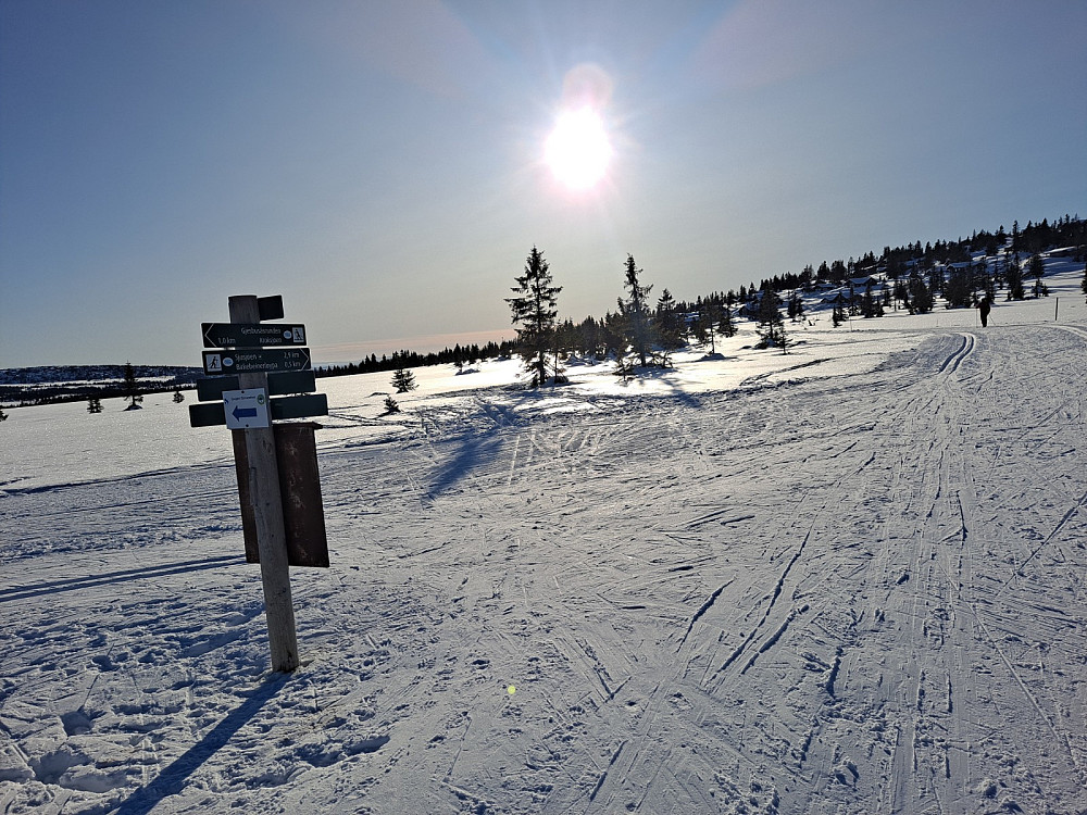 Ved løypekrysset Storåsmyra