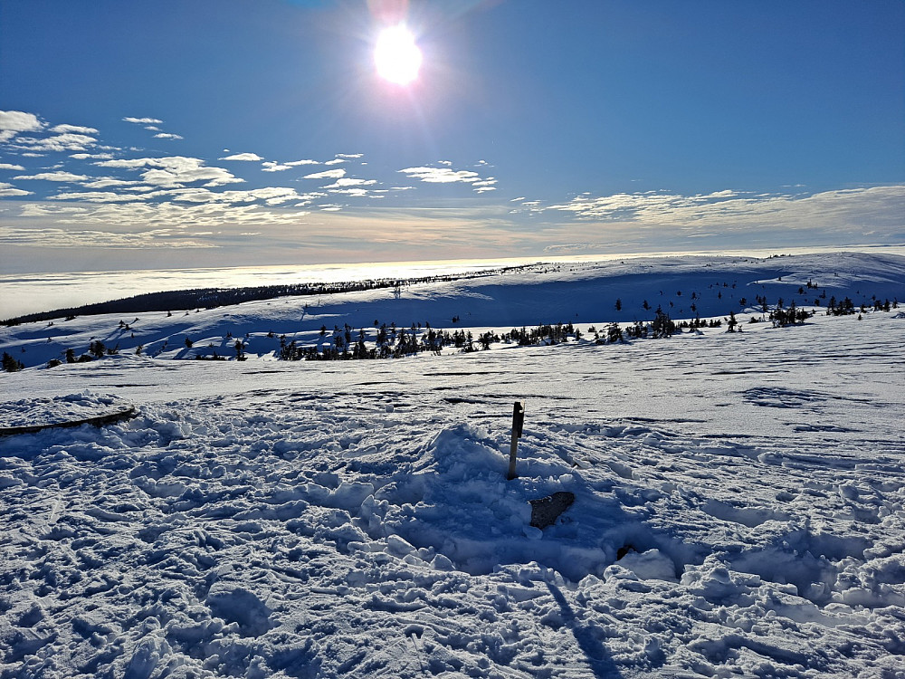 På Mostfjellet