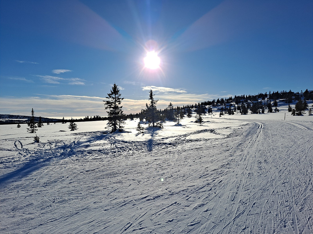 Ved løypekrysset Storåsmyra